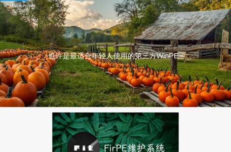 FirPE