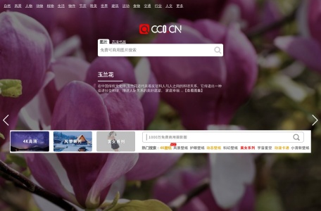 CC0图片网