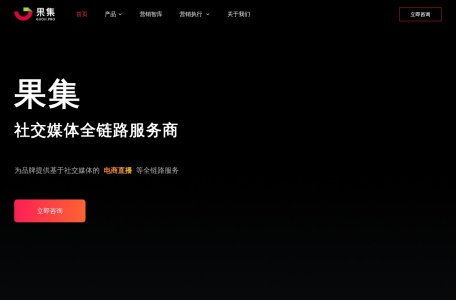 果集