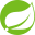 Spring.io